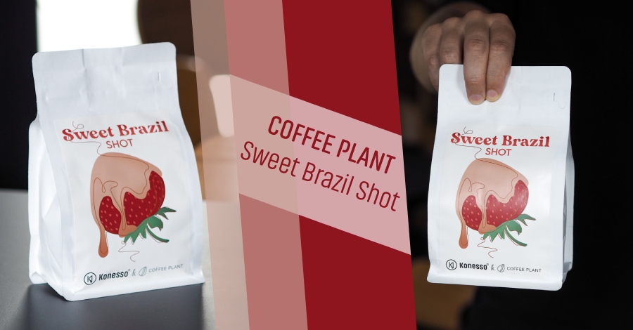 Sweet Brazil Shot - słodka kawa od COFFEE PLANT i Konesso